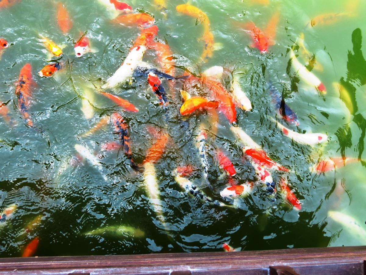 Khun Han Pongsin Resort מראה חיצוני תמונה